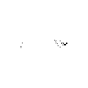 E-913W
