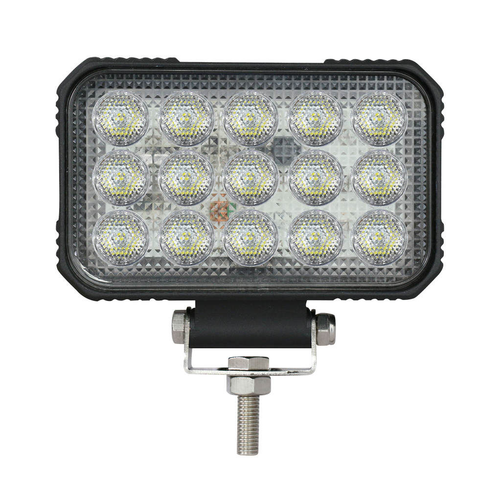 4.5" x 6" LED Flood Lamp